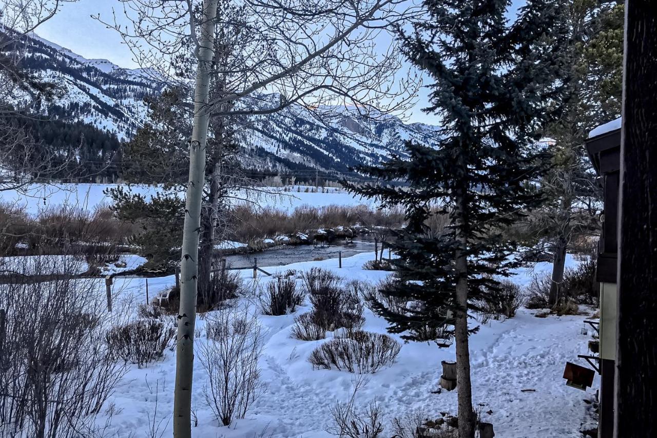 Moose Creek Lodge ウィルソン エクステリア 写真